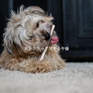 犬とリラックスする午後 - Smooth Dinner Jazz Group