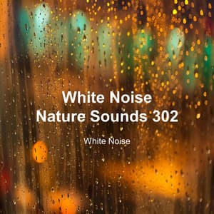 White Noise 302 - White Noise
