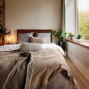 The Dream Orchestra: A Symphony For Deep Sleep - Binaural Frequency Sessions