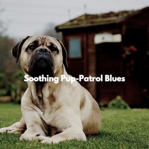 Soothing Pup-Patrol Blues - Musique Relaxante Classiques