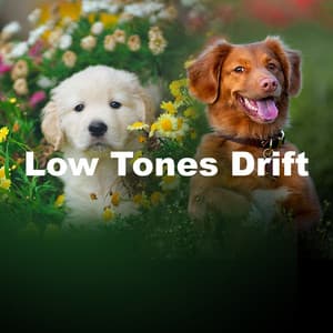 Low Tones Drift - Relax My Puppy