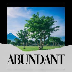 Abundant - The Nature Soundscapes