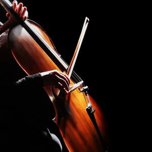 Symphony for Relaxation: Gentle Orchestra - Charles Anderson