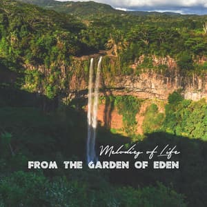 Melodies of Life from the Garden of Eden: Ethnic African Music to Soothe Your Soul - Relieve Stress Music Academy