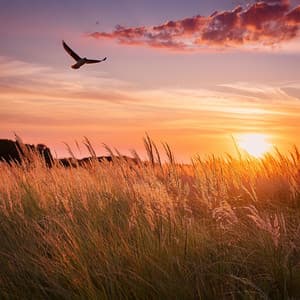 Lofi Meditación Fluida: Ritmos Para Calmar Los Pensamientos - Maestro de lo-fi cósmico