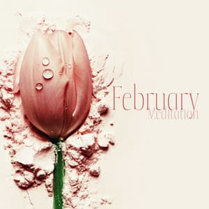 February Meditation: Gentle Alarm Ringtones 2022, Prenatal Piano Yoga for Healthy Heart, New Age Piano Music for Spa - Gentle Instrumental Music Paradise