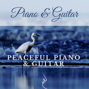 Relaxing Music with Beautiful Nature - Peaceful Piano & Guitar - Piano & Guitar