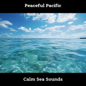 Peaceful Pacific: Calm Sea Sounds - Sea Sounds Channel