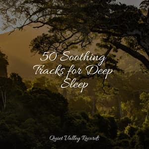 50 Soothing Tracks for Deep Sleep - Sounds Of Nature: Thunderstorm