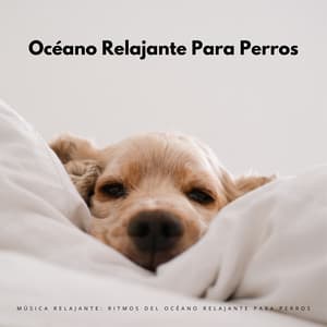Música Relajante: Ritmos Del Océano Relajante Para Perros - Serenidad Academy