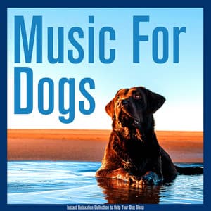 Music For Dogs: Instant Relaxation Collection to Help Your Dog Sleep - Dog Music