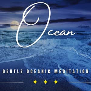 Oceanic Zen: Binaural Waves for Meditation - Ocean Sounds Plus