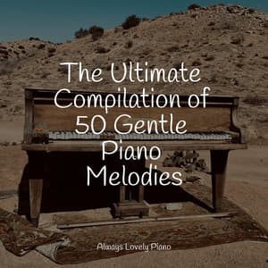 50 Stress Relief Piano Soundscapes - Piano para Dormir