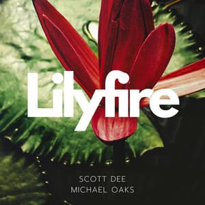 Lilyfire: Music for Inner Awakening - Scott Dee