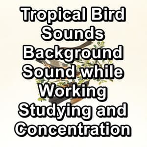 Tropical Bird Sounds Background Sound while Working Studying and Concentration - Yoga Master