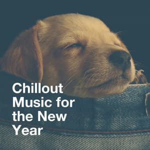 Chillout Music for the New Year - Asian Chillout Music Collective