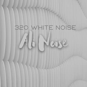 320 White Noise - Ali Noise