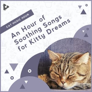 An Hour of Soothing Songs for Kitty Dreams - Cat Music Hour