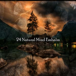 24 Natural Mind Embalm - Sound Library XL