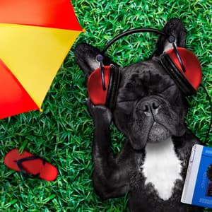 Dog's Dreamland: Ambient Music - Relaxing Music for Dogs