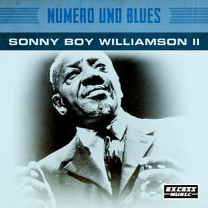 Numero Uno Blues - Sonny Boy Williamson II