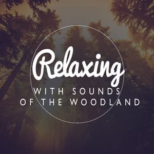 Relaxing with Sounds of the Woodland - Bruits naturels