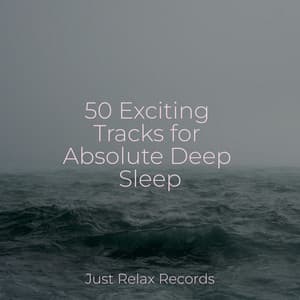 50 Exciting Tracks for Absolute Deep Sleep - Música Zen Relaxante