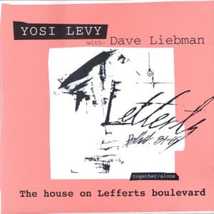 The House on Lefferts Boulevard - Yosi Levy