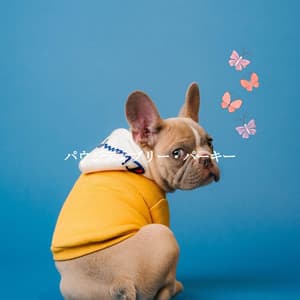 パウジティブリー・パーキー - Musica para Hoteles