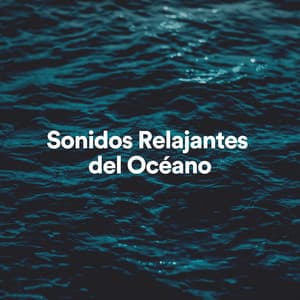 Sonidos Relajantes del Océano - Sonidos relajantes del océano