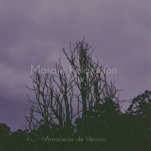 Masaje Relajación Mix - Sonidos de la Naturaleza Relajacion