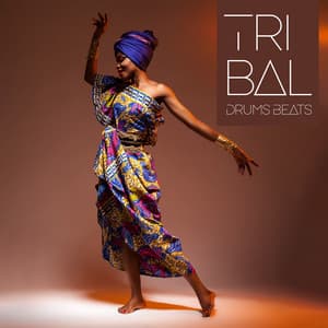 Tribal Drums Beats - Dean Evanos