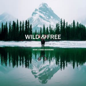 Wild & Free - Nature & Sounds Backgrounds