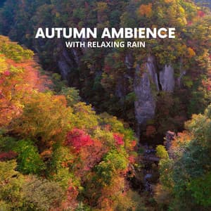 Autumn Ambience with Relaxing Rain - Soothing Music for Stress Relief, Healing Meditation, Massage, Spa - Healing Rain Music Zone