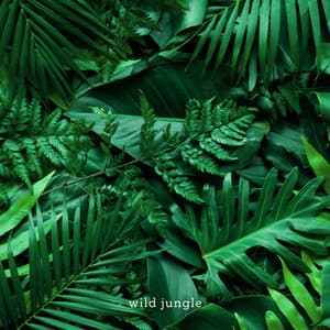 wild jungle - blondette