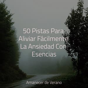 50 Pistas Para Aliviar Fácilmente La Ansiedad Con Esencias - Mantra para Meditar