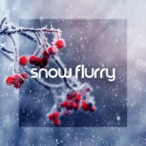 Snow Flurry - Li Pash