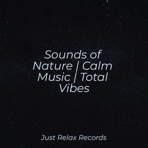 Sounds of Nature | Calm Music | Total Vibes - Relajacion Del Mar
