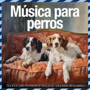Música para perros - Sonidos para favorecer el descanso saludable de tu perro - Relaxmydog