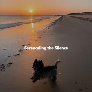 Serenading the Silence - Smooth Jazz All Stars
