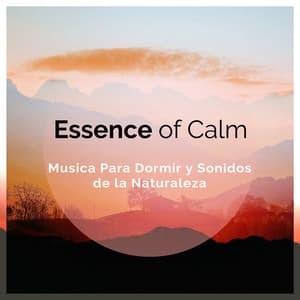 Essence of Calm - Musica Para Dormir y Sonidos de la Naturaleza