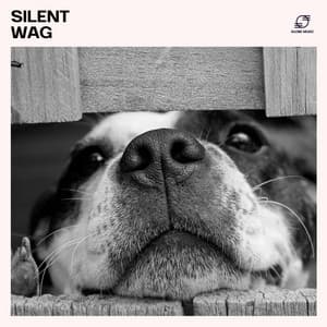Silent Wag: Calming Dog Music - Dog Sleep Dreams