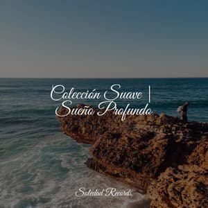 Colección Suave | Sueño Profundo - Música Zen Relaxante