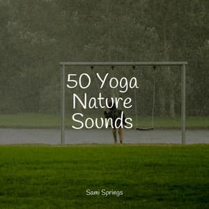 50 Yoga Nature Sounds - Organic Nature Sounds