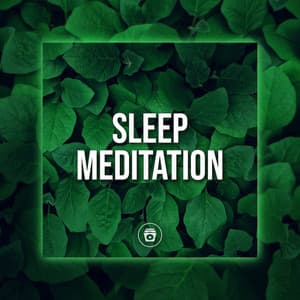 Sleep Meditation - Rainforest Sounds