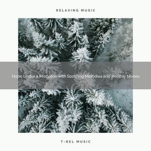 Hope Under a Mistletoe with Soothing Melodies and Holiday Noises - Silent Night Sounds