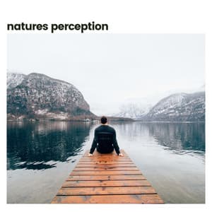 Nature's Perception - Nature's Noise