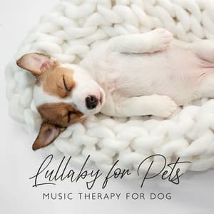 Lullaby for Pets: Music Therapy for Dog, Anti Anxiety, Inner Peace, Anxiousness, Insomnia, Gentle Sounds for Puppies - Pet Relax Academy