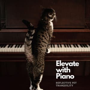 Elevate with Piano: Reflective Pet Tranquility - PianoDreams.One Audience Piano