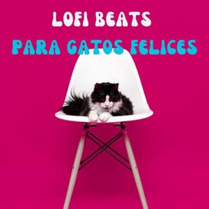Lofi Beats Para Gatos Felices - Ritmos de hip-hop de Lofi